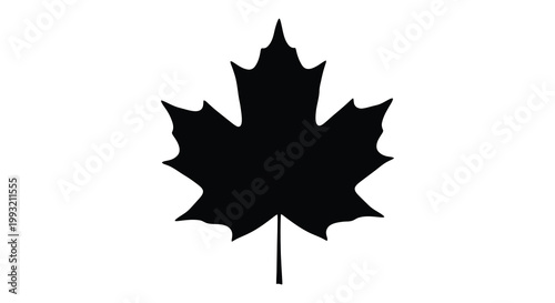 A striking black maple leaf design elegantly presented as a silhouette