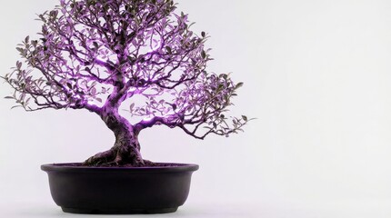 Purple illuminated bonsai tree on white, striking decorative plant concept with glowing branches and elegant minimal composition, realistic detail, no logos