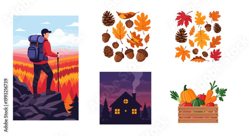 Autumn harvest lifestyle illustration featuring pumpkins and leaves for seasonal marketing and digital design projects