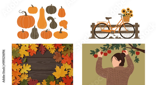 Flat design vector illustration of autumn harvest celebration with pumpkins and apple picking lifestyle elements under warm sunlight