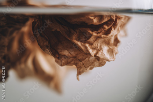 Herbal tea for cramps with dried leaf steeping in water, natural remedy, soothing and calming, organic wellness, close up, soft light, relaxation