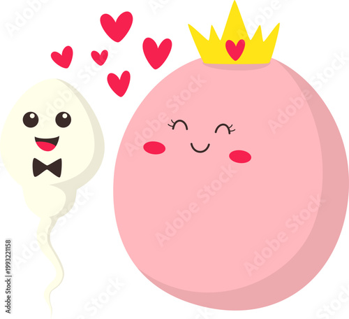 Cute and Kawaii Character Fertilization Sperm Egg Cell for Concept Education. Vector Isolated