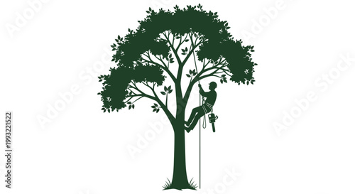 Tree climber in harness ascending a tree with a chainsaw