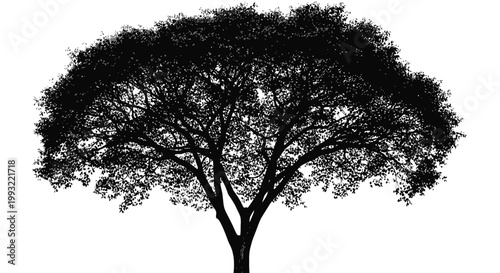 Silhouette of a large tree with a broad canopy and multiple branches against a white background illustration