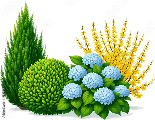 Create a kinds of deferent Set of shrubs and bushes in elevation view for use in architectural drawings vector art with white background..