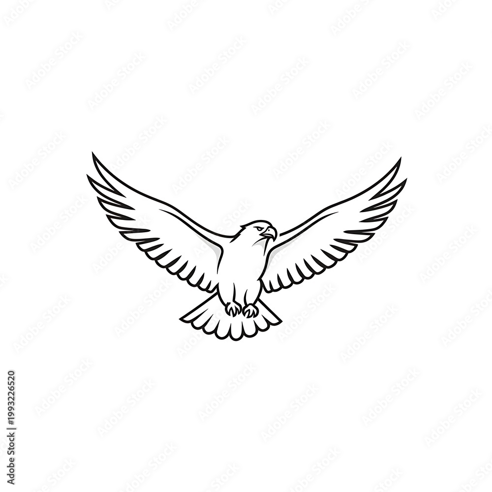 Fototapeta premium Stylized black and white outline illustration of an eagle or hawk flying with wings spread