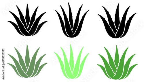 Minimalist aloe vera icon set, in silhouette style, isolated on transparent background