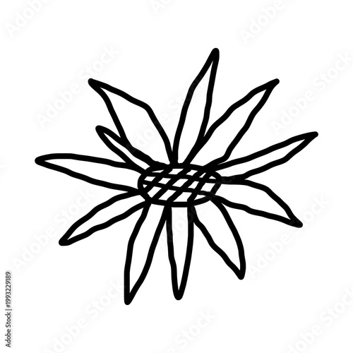 black and white flower