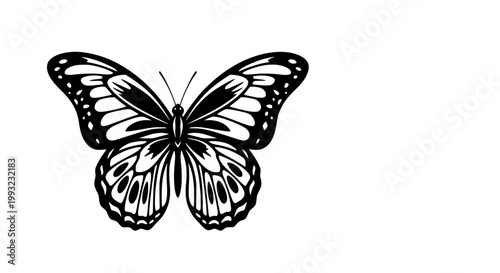 Detailed monochrome butterfly illustration with elegant wing patterns capturing the beauty of nature's delicate insects and graceful flight