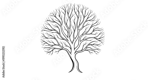 A detailed black and white illustration of a bare tree with intricate branches, symbolizing nature's skeletal beauty in winter
