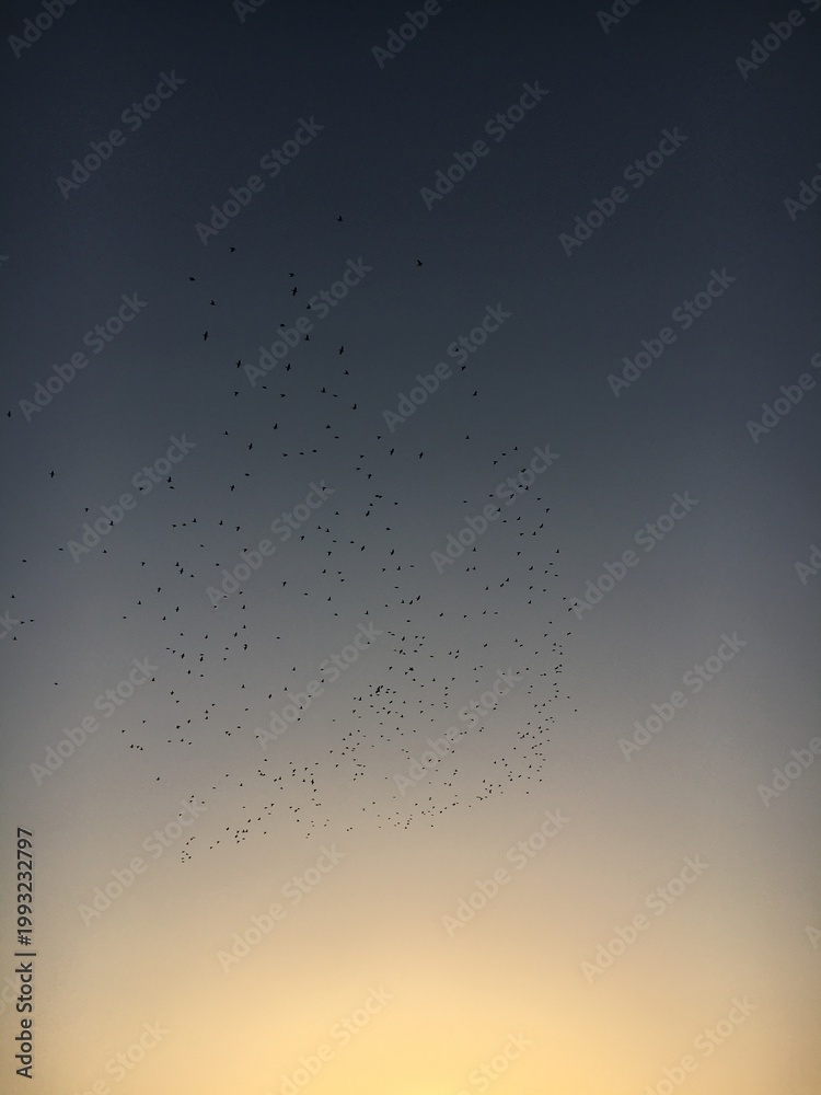 Obraz premium abstract background with clouds