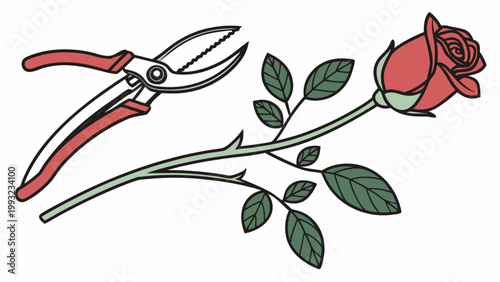 Garden shears and red rose flower isolated on white background in flat illustration style, gardening tools and floral concept