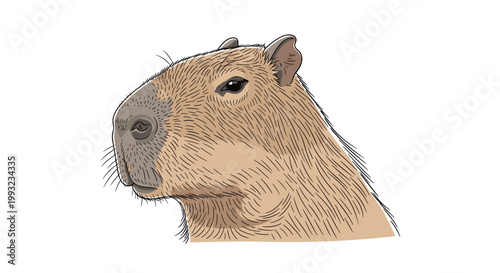 Detailed side profile portrait of a calm and peaceful capybara showing its characteristic fur texture and gentle expression on its face.