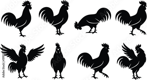Rooster Silhouette Collection Vector Set – Chicken and Cock Silhouettes, Farm Animal Poses Bundle, Black Poultry Illustration