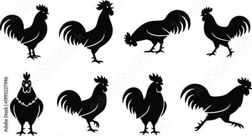 Rooster Silhouette Collection Vector Set – Chicken and Cock Silhouettes, Farm Animal Poses Bundle, Black Poultry Illustration