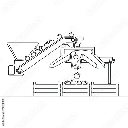 An apple sorting machine. Apples are placed on the conveyor belt and sorted into crates.