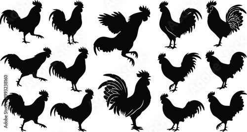 Rooster Silhouette Collection Vector Set – Chicken and Cock Silhouettes, Farm Animal Poses Bundle, Black Poultry Illustration
