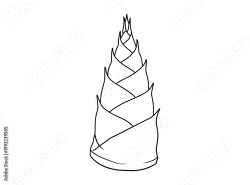 Young bamboo shoot growing upward with layered sheath texture in a clean line art vector illustration