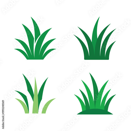Four different green grass clumps or bushes with varying shades and leaf shapes  isolated on white background