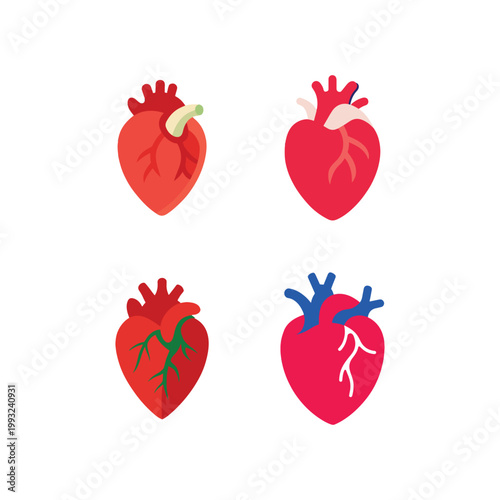 Four different human heart illustrations with various colored veins and arteries on white background