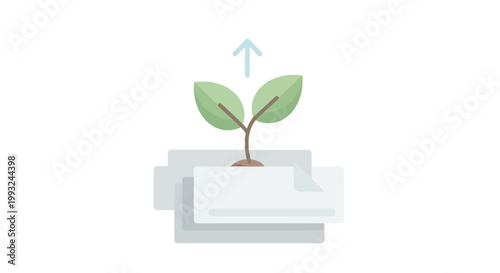 Young Green Plant Growing from a Seedling in a Modern Indoor Space