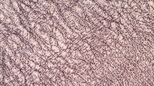 Cuadro en lienzo High-quality texture of pink gabardine fabric with a visible diagonal weave