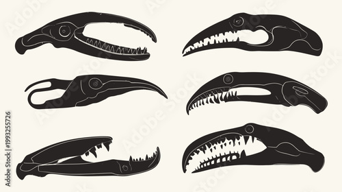 Black graphic depicting six unique skull-like shapes, each on a neutral cream background