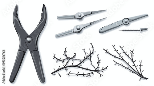 Illustration of tools and plant branches, isolated on white background with a modern, flat design