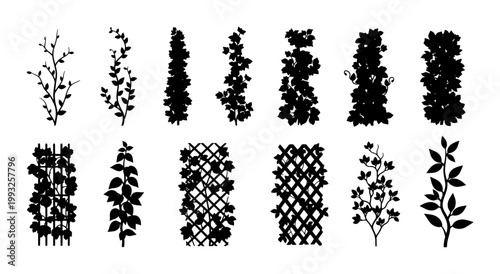 Schilderij op canvas Vine and Plant Silhouettes, Botanical Vector Elements, Climbing Foliage Graphics