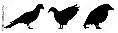 Black silhouette, white background: lighter set with simple line art design featuring sketches, drawings, vector graphics with minimalist and simple illustrations