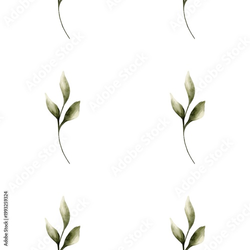 Watercolor leaf pattern for packaging and wrapping design with white background