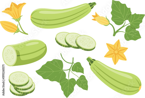 set of fresh vegetables