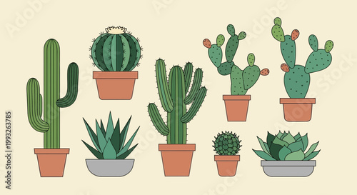 Cactus, succulent, and aloe vera plants, potted desert flora, vector illustrations, 9 elements
