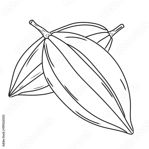 Tableau sur toile A Vector carambola line art, hand-painting design set, EPS format, outline drawi