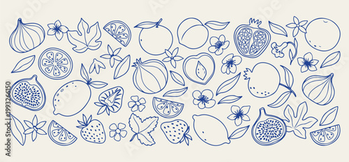 Healthy fruits and berry pattern illustration, fresh organic apple and citrus doodles, garden harvest and nutrition vector set, vitamin rich fruit and berry collection, hand drawn fruit shop and marke