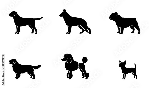 Dog breed silhouettes collection, set of 6 black canine vector icons, purebred domestic pets in profile view, minimalist animal graphics for veterinary and pet care