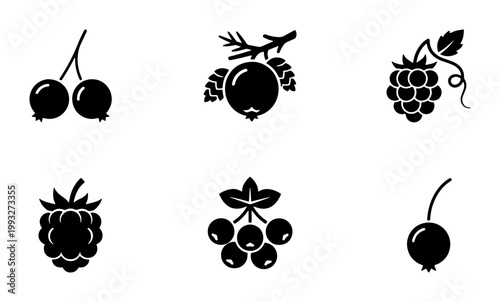 Minimalist berry icon set, black silhouette fruit vector collection, 6 organic forest berry symbols, flat graphic design elements for food packaging