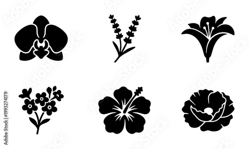 Minimalist black flower icons set, 6 botanical floral vector silhouettes, orchid lavender lily hibiscus and poppy symbols for logo design