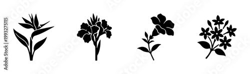 Tropical flower silhouette collection, set of 4 botanical vector icons, black floral bird of paradise and hibiscus elements for logo design