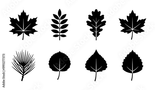 Black leaf silhouette icons set, 8 botanical tree leaf vector elements, minimalist forest foliage shapes, maple oak and pine leaf symbols