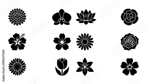 Minimalist black flower icons set, 12 floral vector silhouettes, botanical garden blossom symbols for logo design and branding