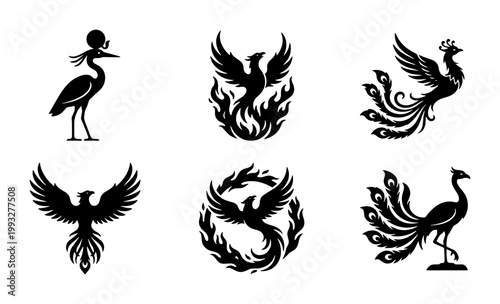 Mythical bird silhouette collection, phoenix and peacock vector icons, 6 black heraldic eagle and crane symbols for logo design and branding