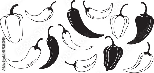 Black and white chili peppers and bell pepper