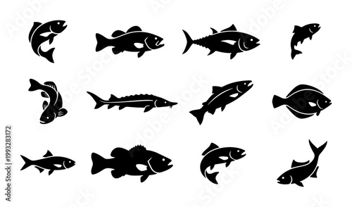 Black fish silhouette collection, 12 aquatic animal icons set, flat vector fish species for fishing logos and seafood restaurant branding