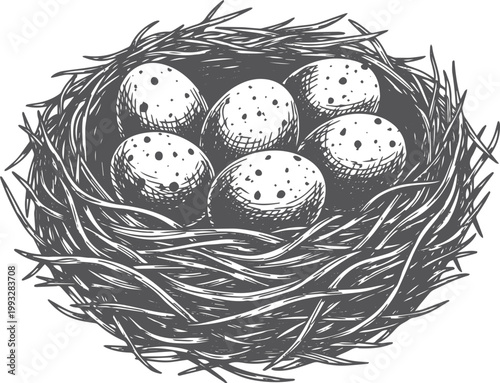 Six speckled eggs in a twig nest, black and white
