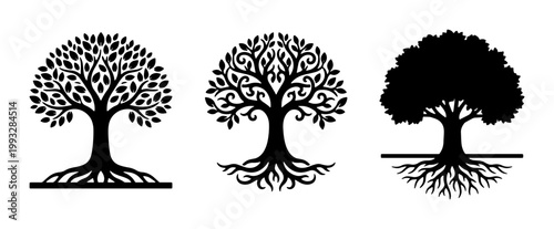 Tree of life silhouettes with roots, set of 3 black vector oak tree icons, decorative nature symbols for logo design and branding