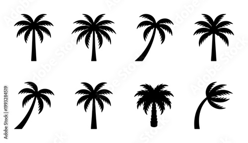 Tropical palm tree silhouettes, set of 8 black coconut tree icons, summer beach plant vector elements for vacation and travel design