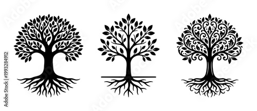 Tree of life silhouettes with roots, set of 3 black vector tree icons, organic nature symbols for branding and environmental logos