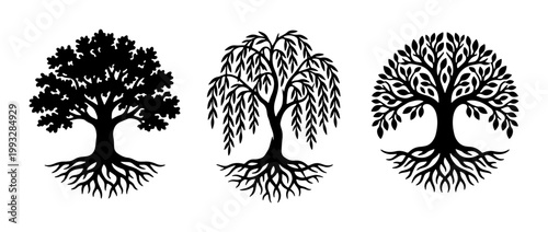 Black tree silhouettes with roots, set of 3 botanical vector icons, oak and willow tree life symbols, minimalist nature graphics for logo design