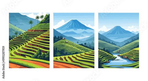 Three beautiful vector graphic panels depicting lush green rice terraces nestled among majestic tropical mountain ranges